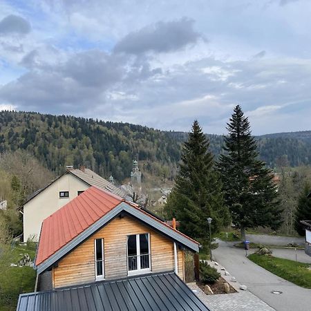 Traumferienwohnung Todtmoos - Appartment Mit Schoenem Wintergarten Εξωτερικό φωτογραφία