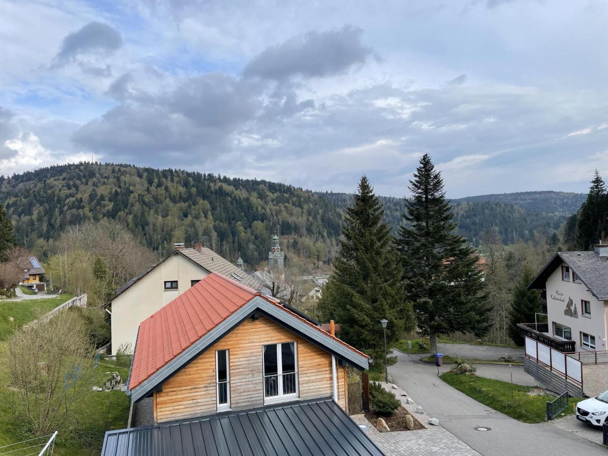 Traumferienwohnung Todtmoos - Appartment Mit Schoenem Wintergarten Εξωτερικό φωτογραφία